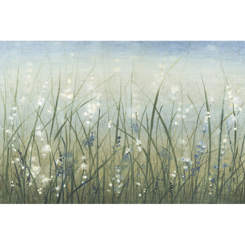 Bliss I by Tim OToole - Wrapped Canvas Print, 30cm H x 46cm W