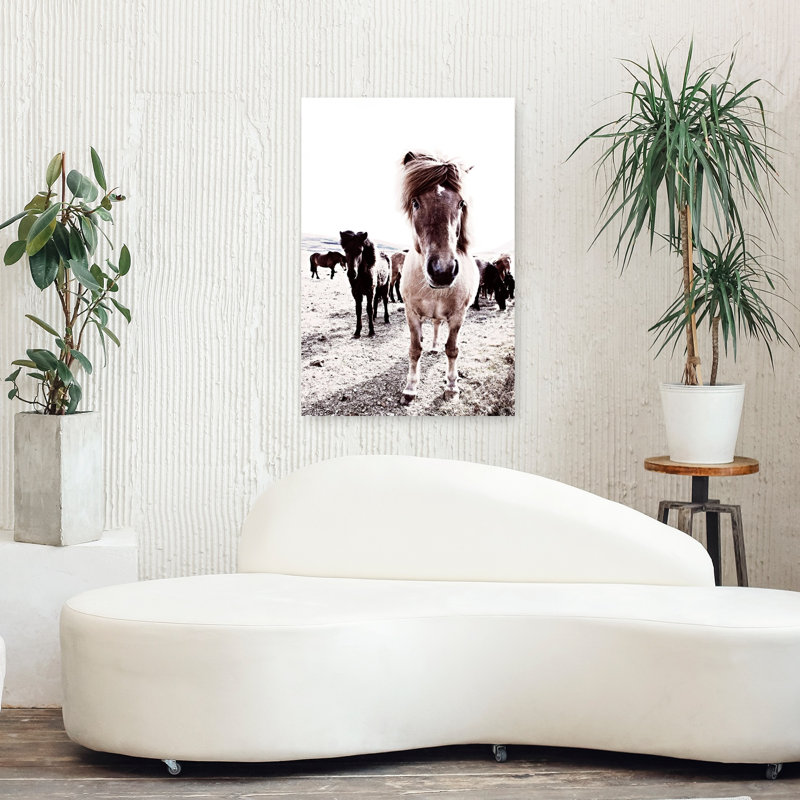 Islande, cheval, Rikka, art contemporain cheval