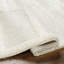 Nenshi Oriental Area Rug-719429200