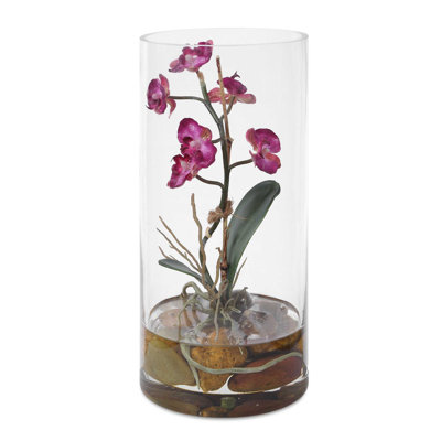 Orchidée fuchsia Mariposa