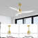 Gianick Ceiling Fan with LED Lights