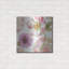«Rainbow Seeds Paisley I» par Lisa Audit-1199315909