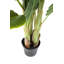 Deco Plant Banana Tree 180cm