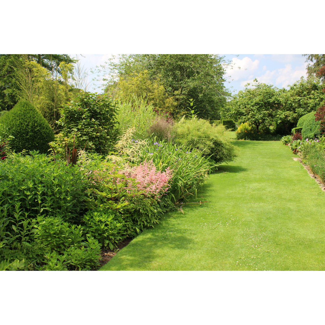 Image of Garden Lawn Pathway With Herbaceous Border Flowers, Astilbes by Mtreasure - Print