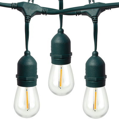 Burroughs  48' Outdoor 15 - Bulb Standard String Light