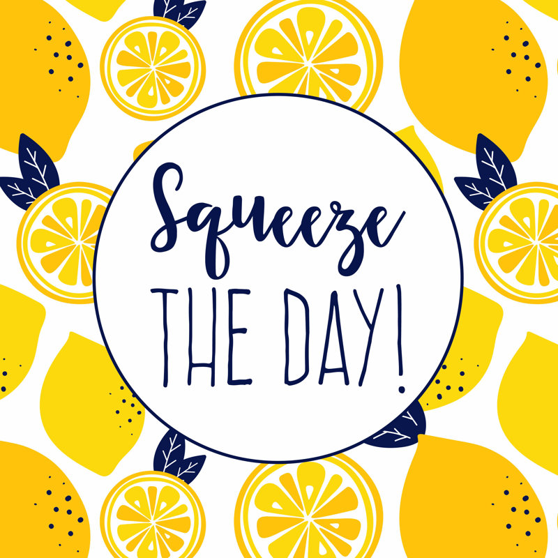 Squeeze The Day - Wrapped Canvas Painting, 36" H x 36" W