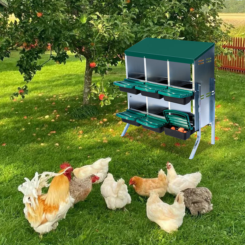 Egg Boxes & Baskets, 95cm H x 81cm W x 52cm D, Green