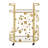 Larkynn Gold Finish Foliage Bar Cart With Mirror Top And Bottom