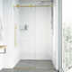 Elan E-Class 60-64" W x 76" H Sliding Frameless Shower Door with 3/8" Clear Glass