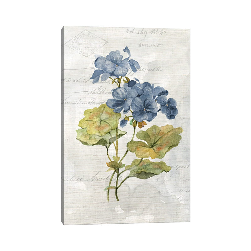 Blue Linen Geranium by Carol Robinson - Wrapped Canvas Print, 101.6 cm H x 66.04 cm W x 1.91 cm D
