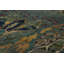 One-of-a-Kind 5'10x10'4 Hand Knotted Area Rug