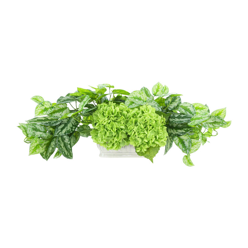 Hydrangea and Ivy Arranged in Ceramic Vase