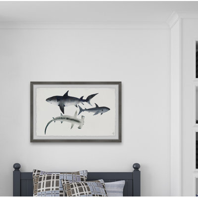 Clauson «Sharks», reproduction encadrée