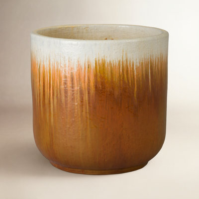 Janaesha Ceramic Pot Planter