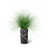 Gris foncé granite