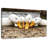 Brampt American Pekin Ducks-108821421