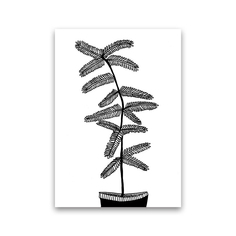 Mimosa by Carissa Tanton - Print, Unframed, 59cm H x 42cm W x 1cm D