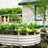 8x4x1ft Galvanized Raised Garden Bed Kit for Vegetables and Flowers & Herbs