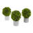 Boxwood Artificial Mini Topiary
