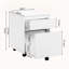 McLoughney 40cm Wide Mobile File Cabinet-1684424113