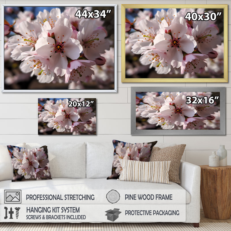 «Blossoming Cherry Flowers In Spring I», reproduction sur toile, 16" H x 32" W, Cadre flottant doré