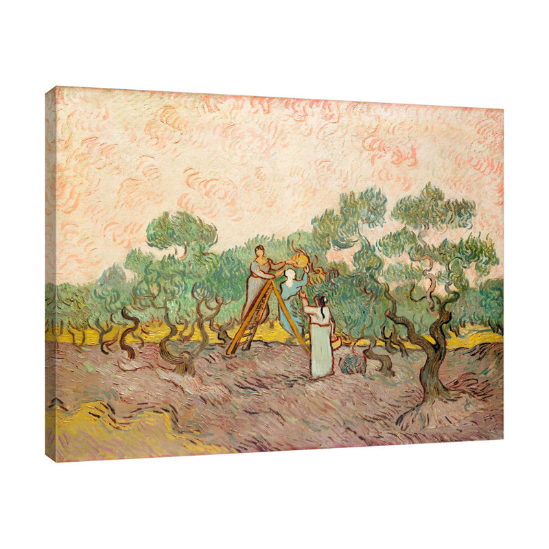 «Women P picking Olives» par Wild Apple Portfolio - impression sur toile tendue, H 32 po x l 40 po x P 1,5 po