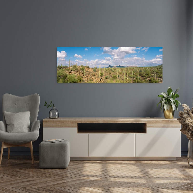 Saguaro National Park, Tucson, Az, États-Unis, H 16 po x l 48 po