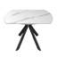 Dining Table-1003052256