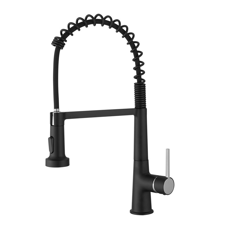 Robinet de cuisine à poignée simple Topcraft, Noir mat