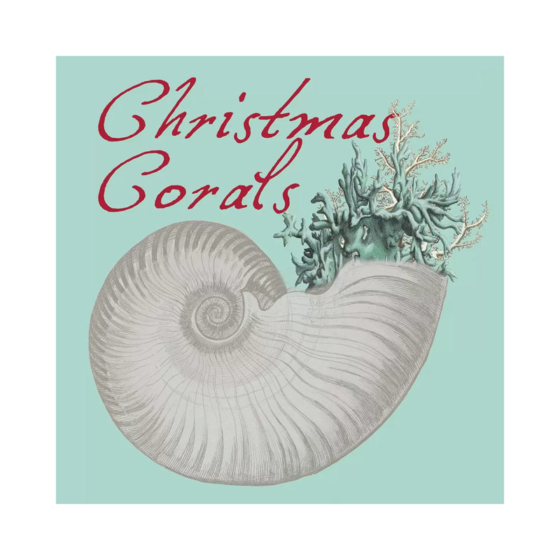 Christmas Corals by Sheldon Lewis - Wrapped Canvas Print, 66.04 cm H x 66.04 cm W x 1.91 cm D