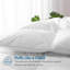 All Season Feather Down Duvet Insert/ Comforter -2034940118