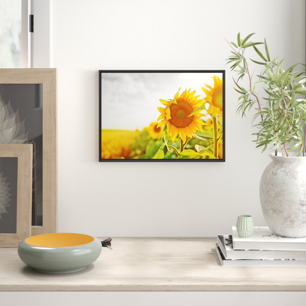 Gerahmtes Wandbild Nahaufnahme einer Sonnenblume