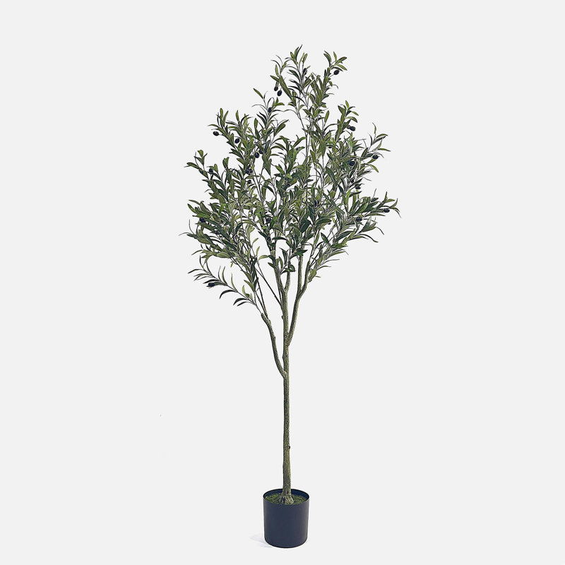 ARBRE D'OLIVE ARTIFIQUE 180CM, H 71 po x l 27 po