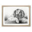 Springer Spaniel Dog by Jean Bernard - Picture Frame Drawing Print-55619715-55619711