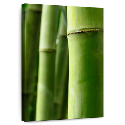 Harnek Bamboo Wood