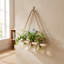 Wall Hanging Plant Propagation Station with 3 Vases & Wooden Frame
