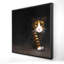Chat discret - Feline Living