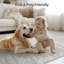 Tapis lavable à rayures rétro antidérapant (beige)-471381064-490636257