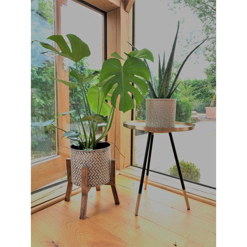 Roger Tray Top End Table, Black, Brass