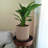 Johnmason ECOBO 13.4 inches Eco-Friendly Round Pot Planter, Linhas Indoor/Outdoor Four Season Use-1594380989