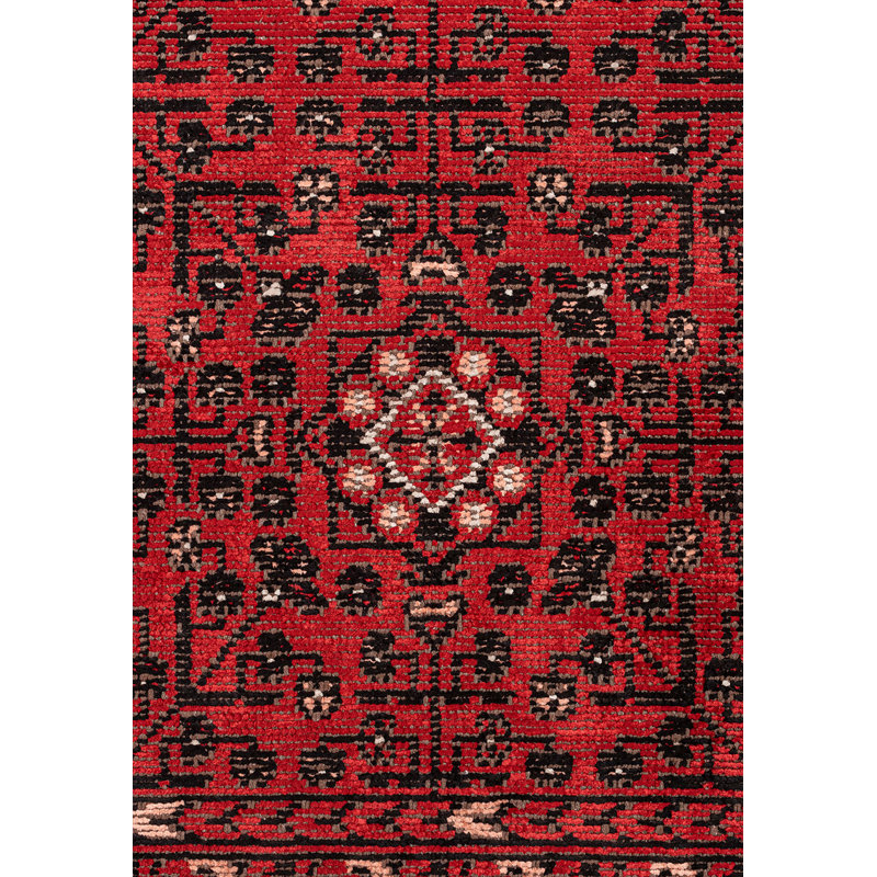 Rogin Oriental Hand Loom Indoor / Outdoor Area Rug, Rectangle 200 x 300cm