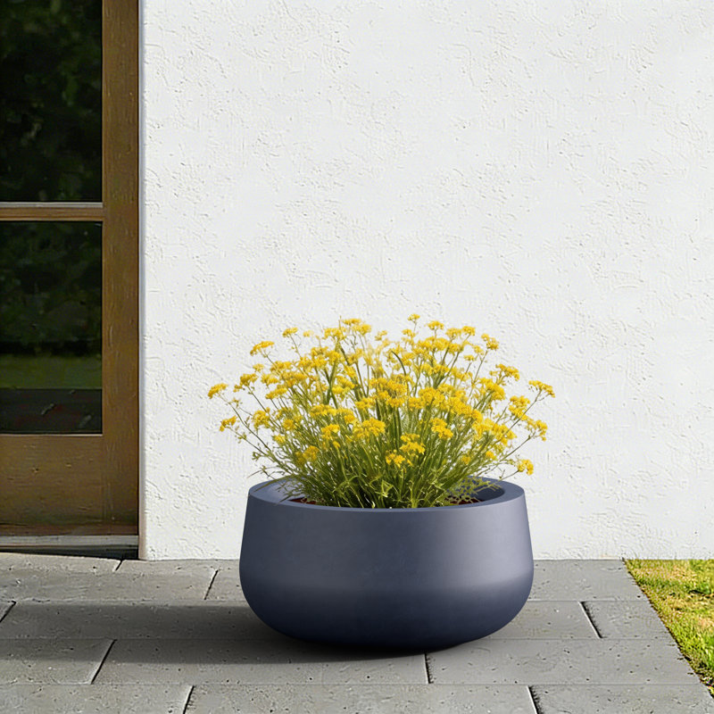 Bol à fleurs rond en pot 12 po intérieur / extérieur avec trou de drainage, H 6 po x l 12 po x P 12 po, Blanc perle