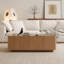 Table basse 46,8 po Mid-Century