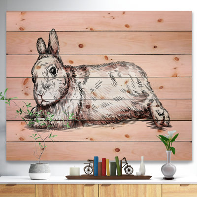 " Farmhouse Brush Painting Ink Draw Isolated Rabbit Illustration "