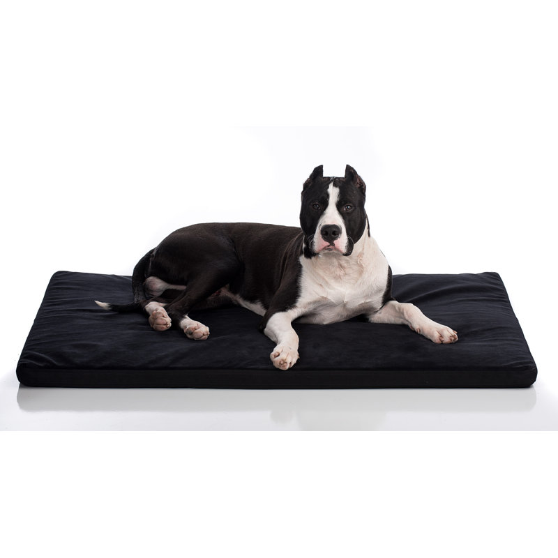 Coussin de coyote caisse Sheehy, Très petit (l 18 po x P 24 po x H 2,5 po), Noir