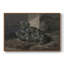 Botanique rétro - XL III-2088248364-2088248365