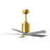 Patricia LED Ceiling Fan