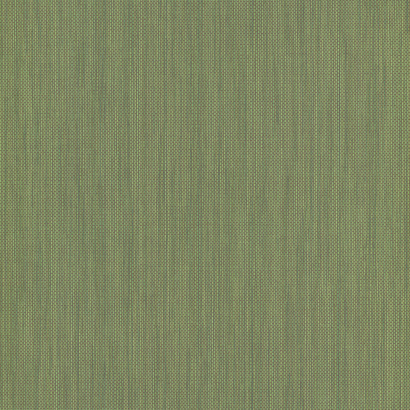 Deraz 10.05m x 53cm Textured Matte Paste the Wall Wallpaper Roll, Green