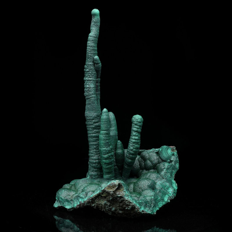 Véritables stalactites de malachite de la RDC - Échantillon de minéral vert vibrant