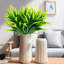 16,9 plante-240845614